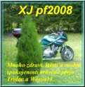 pf2008