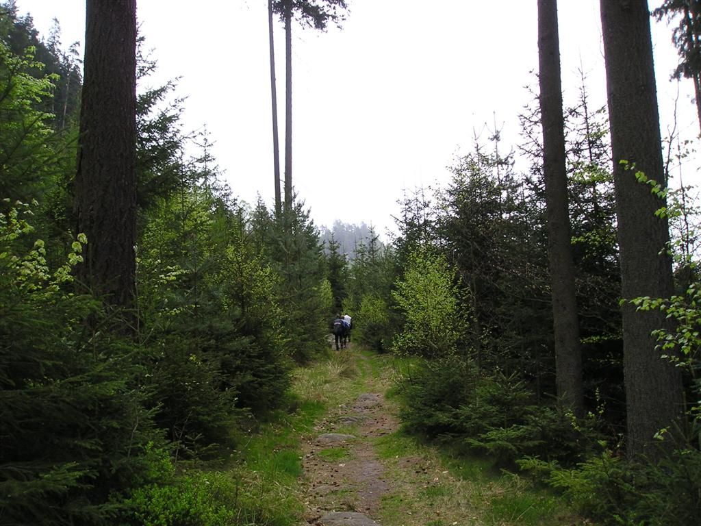 Teplické skály