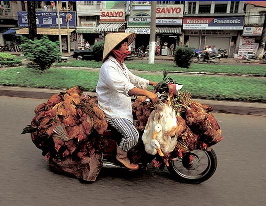 live to ride