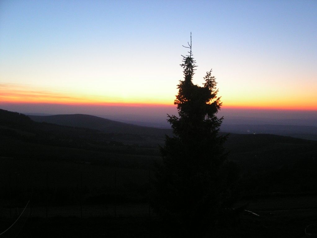 Pict0041