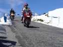 Alpy 2005