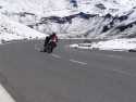 Alpy 2005