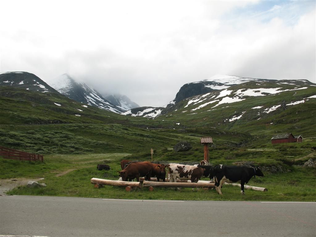 Norsko 2008