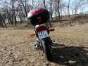 XJb 6