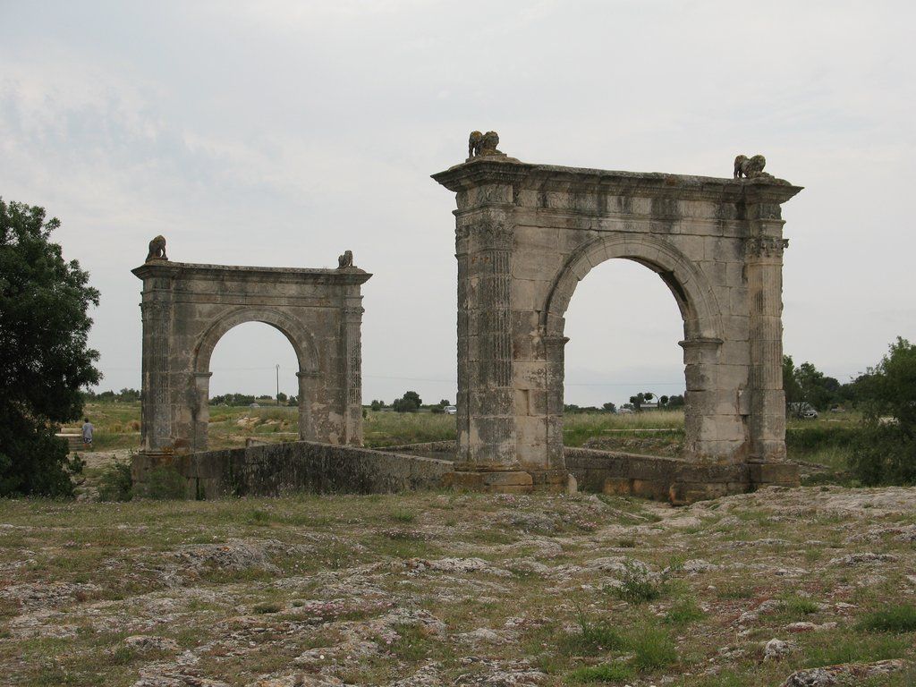 IMG 0864