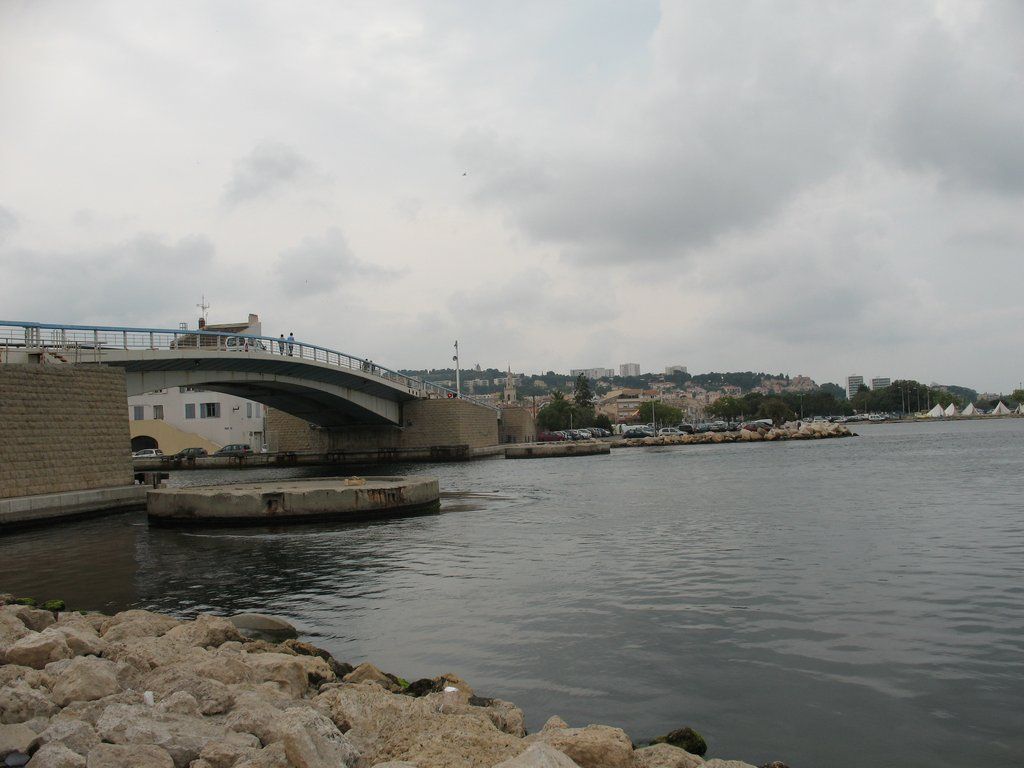 IMG 0875