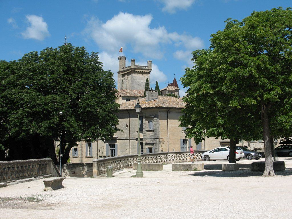 IMG 0905