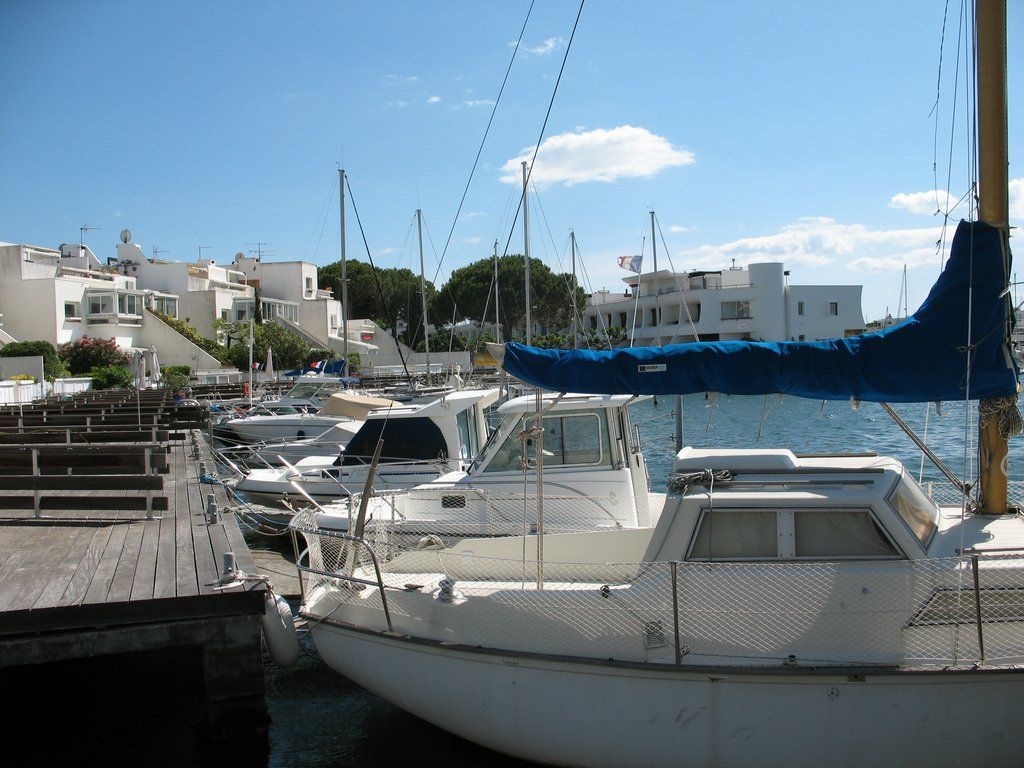 IMG 0937