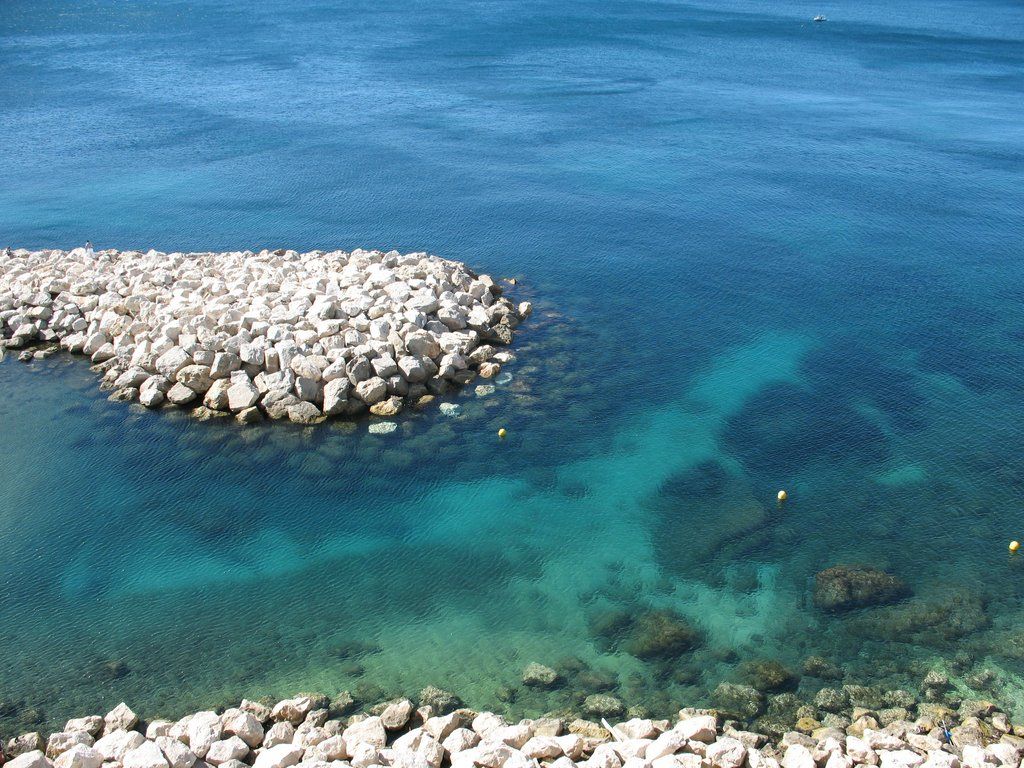IMG 0952