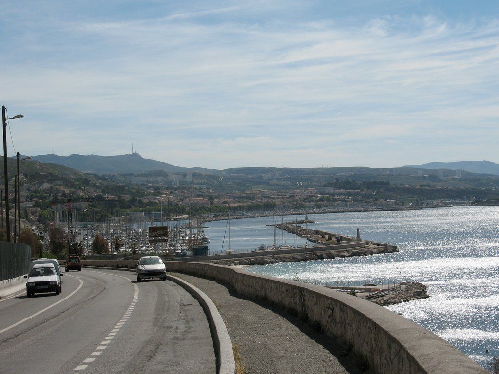 IMG 0955