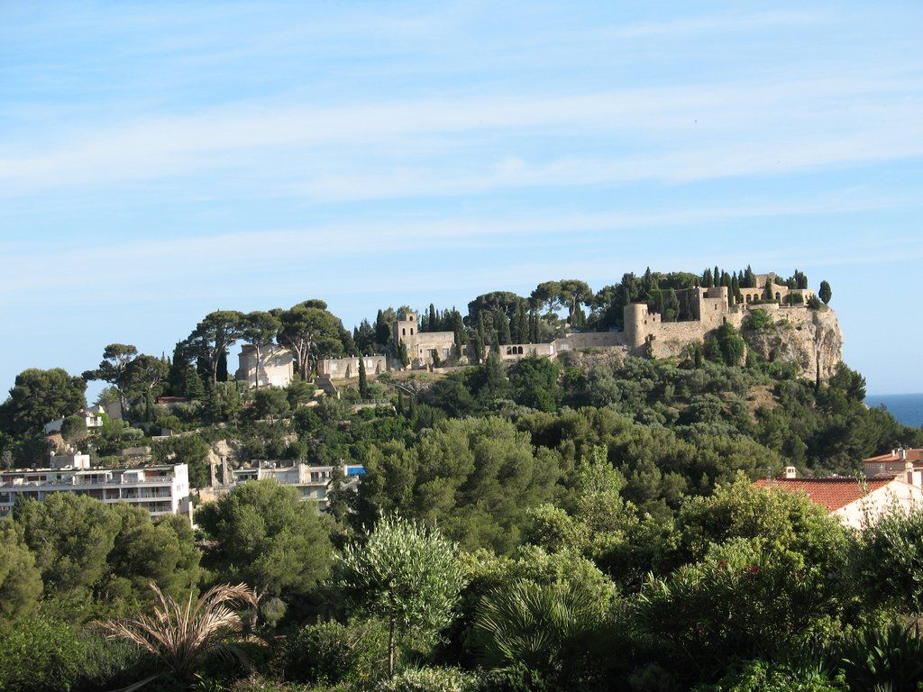 IMG 0974