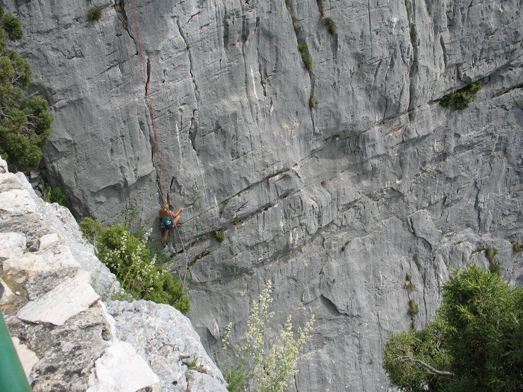IMG 1349