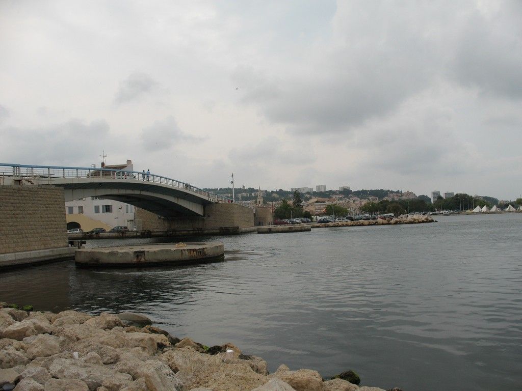 IMG 0875