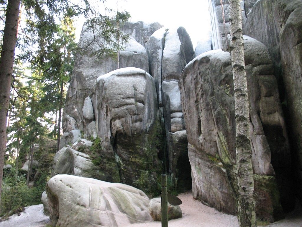 IMG 9674