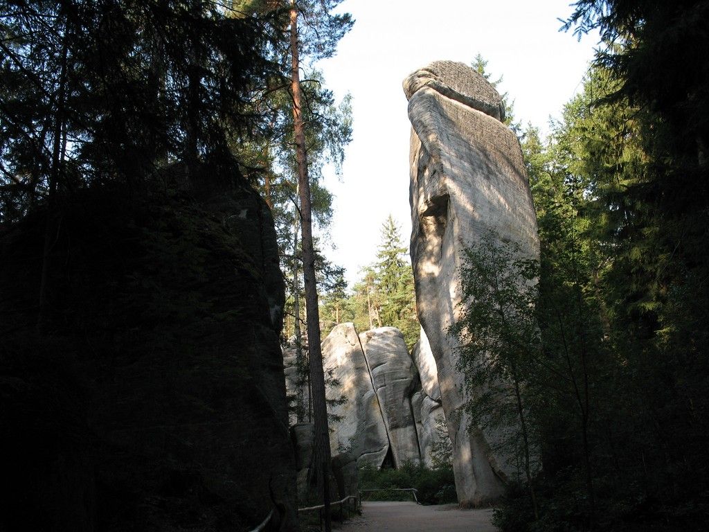 IMG 9675