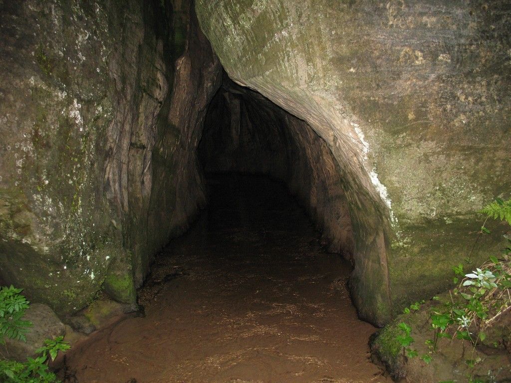 IMG 9691