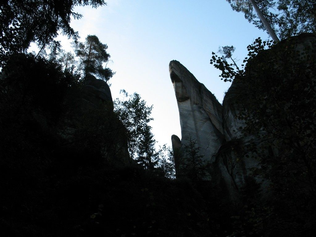 IMG 9704
