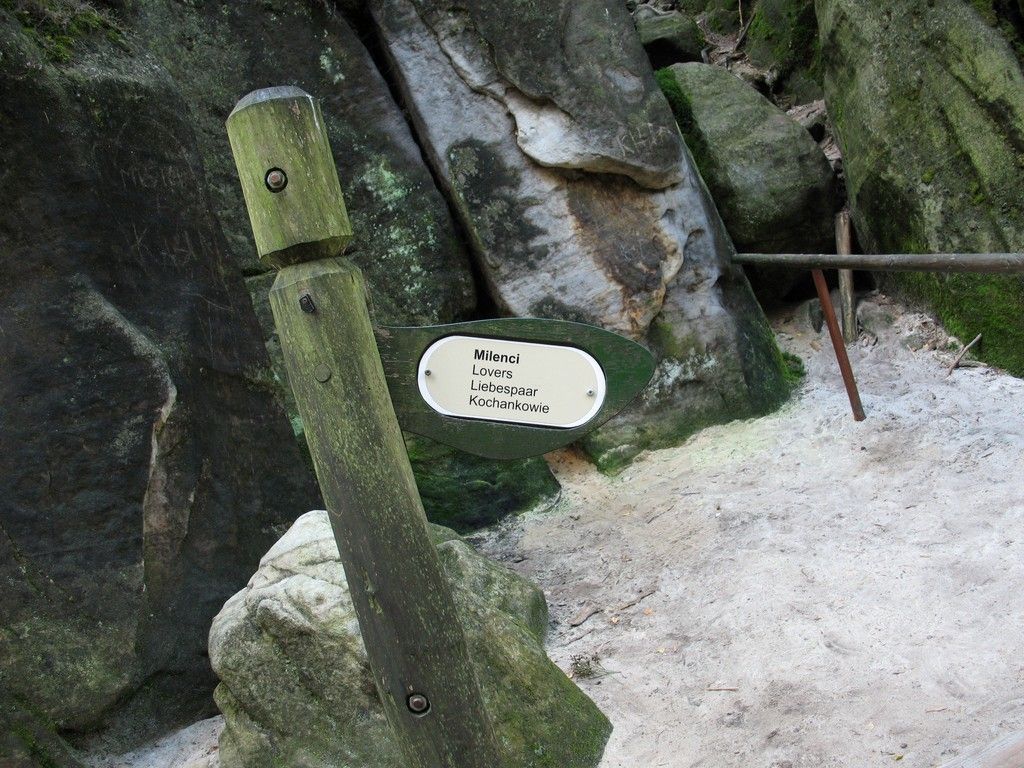 IMG 9726