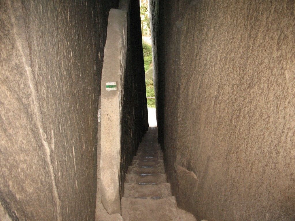 IMG 9741