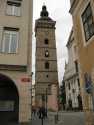 IMG 9816