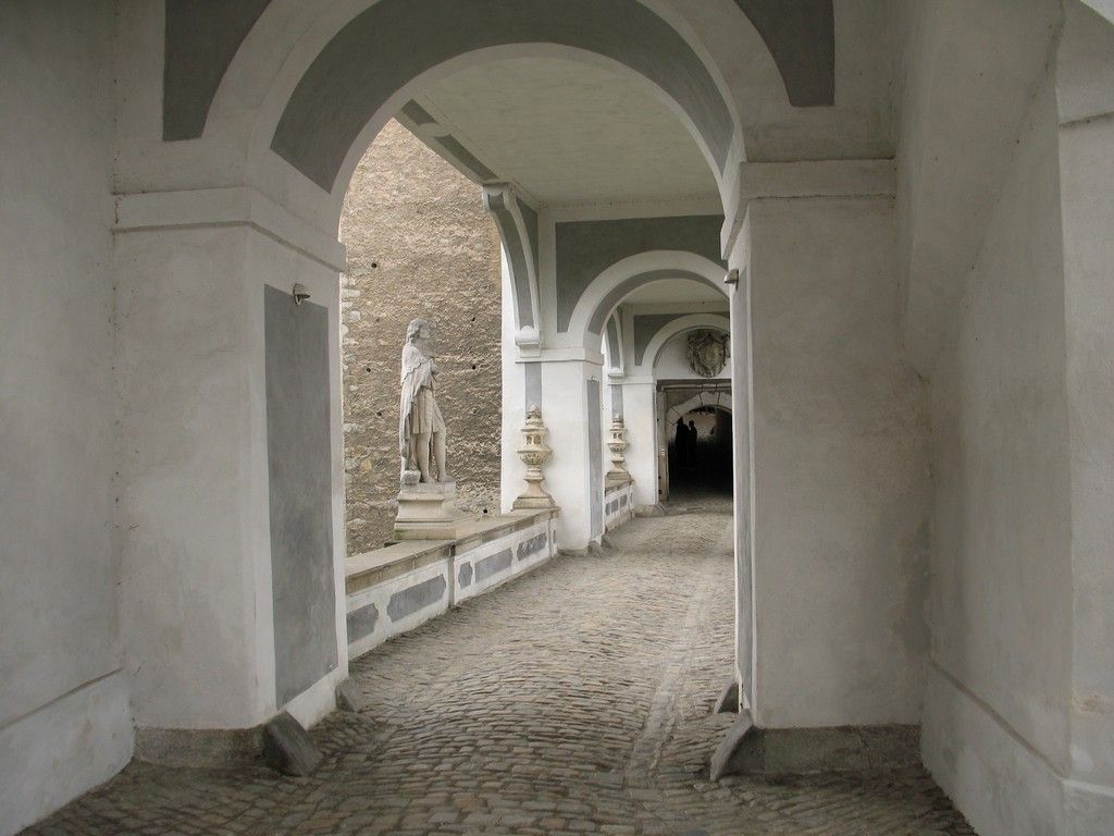 IMG 9862